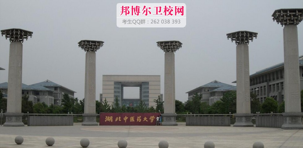 湖北中医药大学什么专业好及有哪些专业