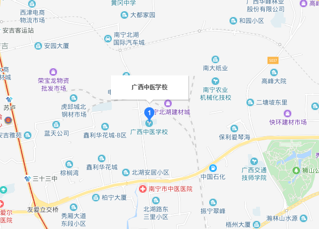 广西中医学校地址在哪里