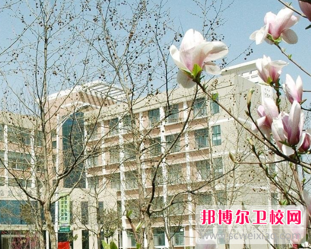 河南2020年哪些大学有卫校大专