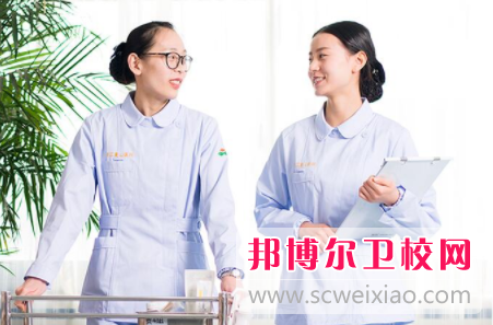 宜昌2020年哪个学校有卫校