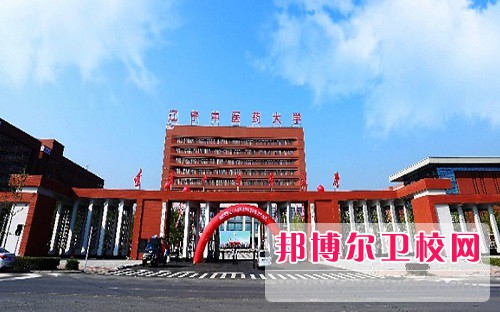 辽宁中医药大学2022年招生代码