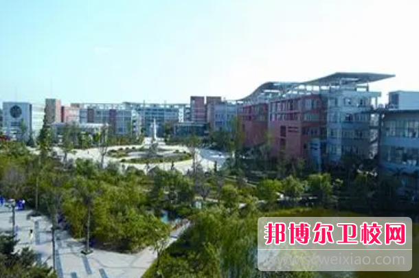 2023年资阳卫校学什么专业内容