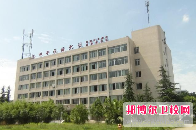 2023年成都中医药大学附属医院针灸学校学什么专业内容