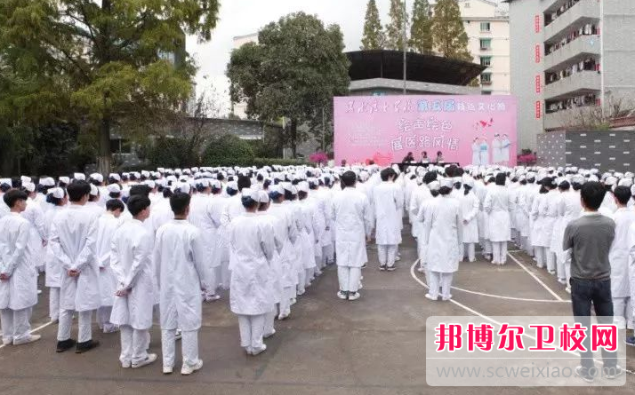 2023年丽水护士学校有哪些专业