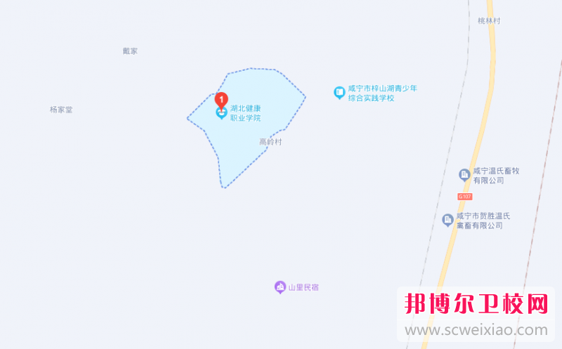 湖北健康职业学院地址在哪里，哪个地区，哪个城市?