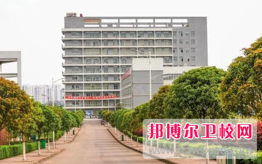 2023宜宾公办卫生学校有哪些 宜宾公办卫生学校名单一览表