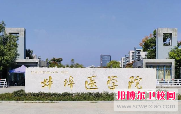 2023蚌埠公办卫生学校有哪些 蚌埠公办卫生学校名单一览表