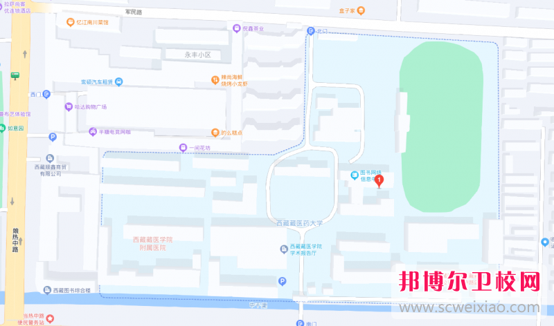 西藏藏医药大学地址在哪里，哪个地区，哪个城市?