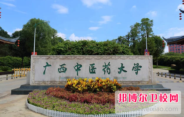 2023广西中医药大学有哪些专业 广西中医药大学开设的专业一览表