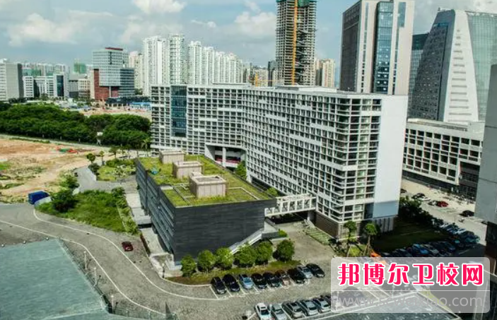 2023深圳大学医学院有哪些专业 深圳大学医学院开设的专业一览表