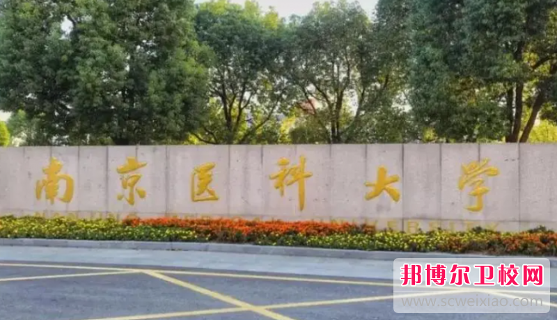 2023南京口腔医学学校有哪些 南京口腔医学学校名单一览表