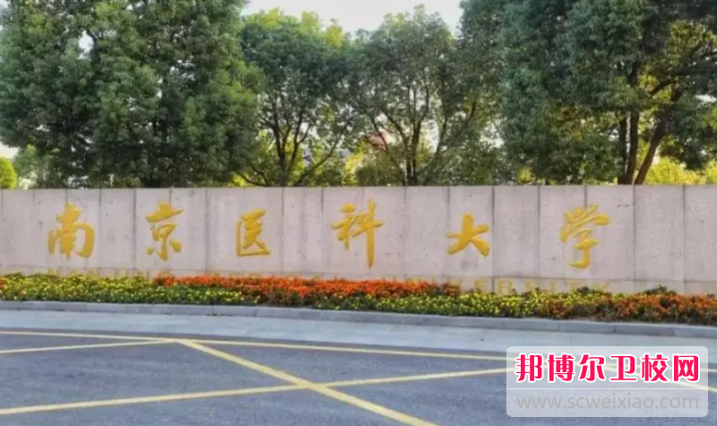 2023南京公办口腔医学学校有哪些 南京公办口腔医学学校名单一览表