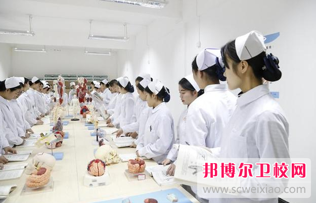 2023年重庆男生在护理学校学什么好