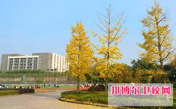 四川2023年初中生怎么考护理学校