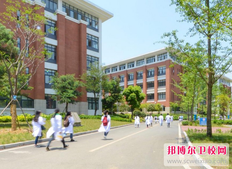 陕西2024年护理学校大专好的学校