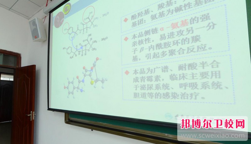 陕西2024年护理学校的专业有哪些