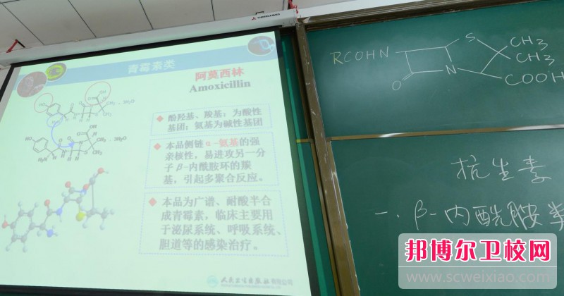 陕西2024年护理学校学什么好