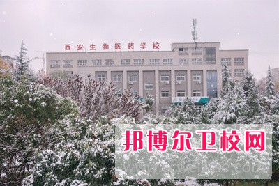 陕西2024年好一点的护理学校