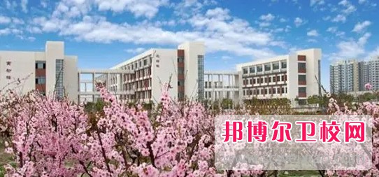 湖北2024年护理学校需要多少分